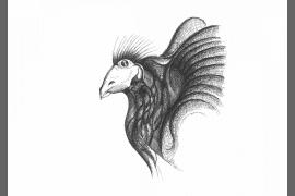 D.B.2